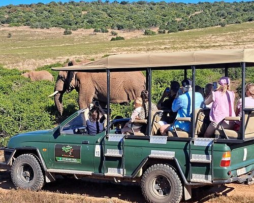 Game Drives