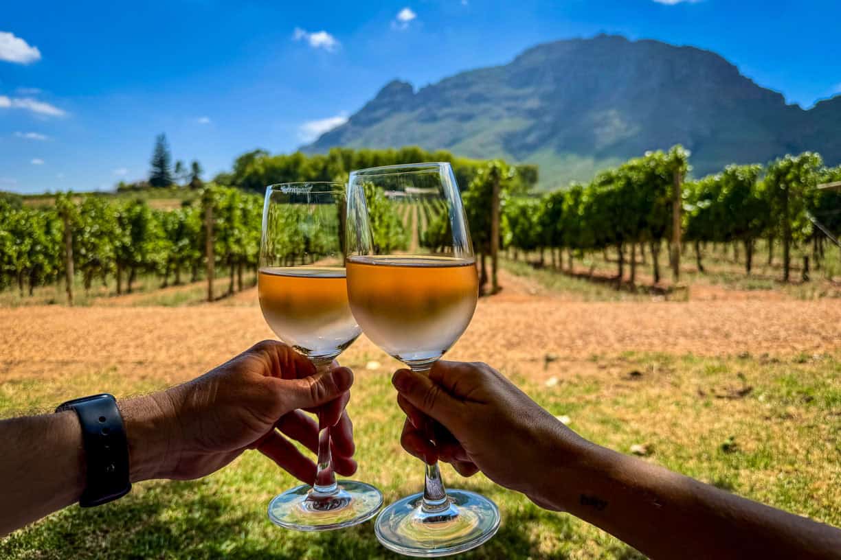 Cape Winelands Tour