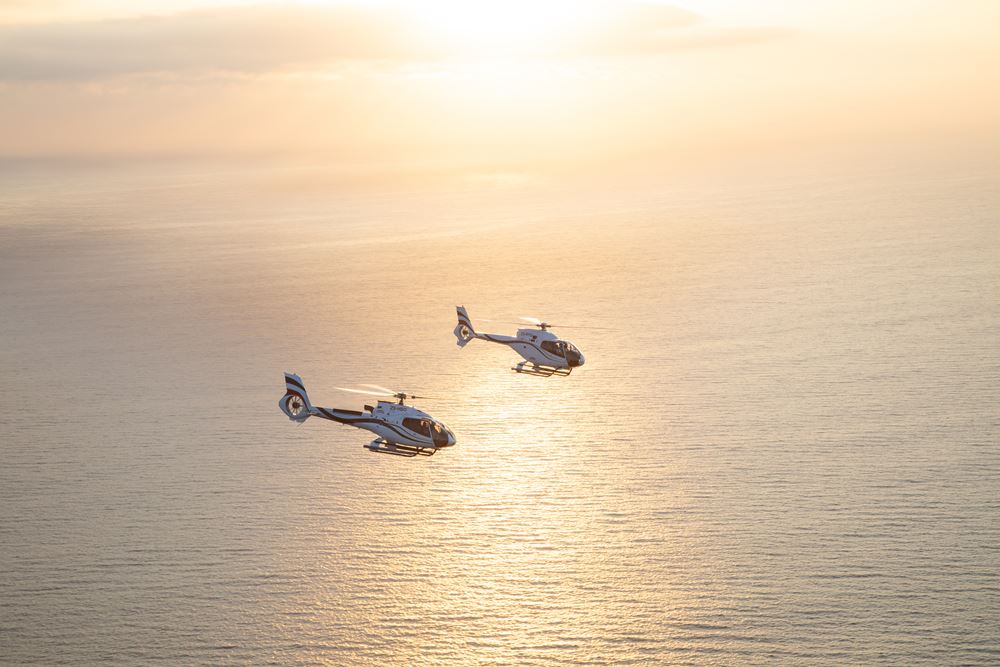 Two Oceans Half Peninsula Helicopter Tour
