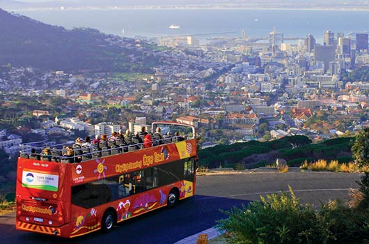 Cape Peninsula Couple Tour