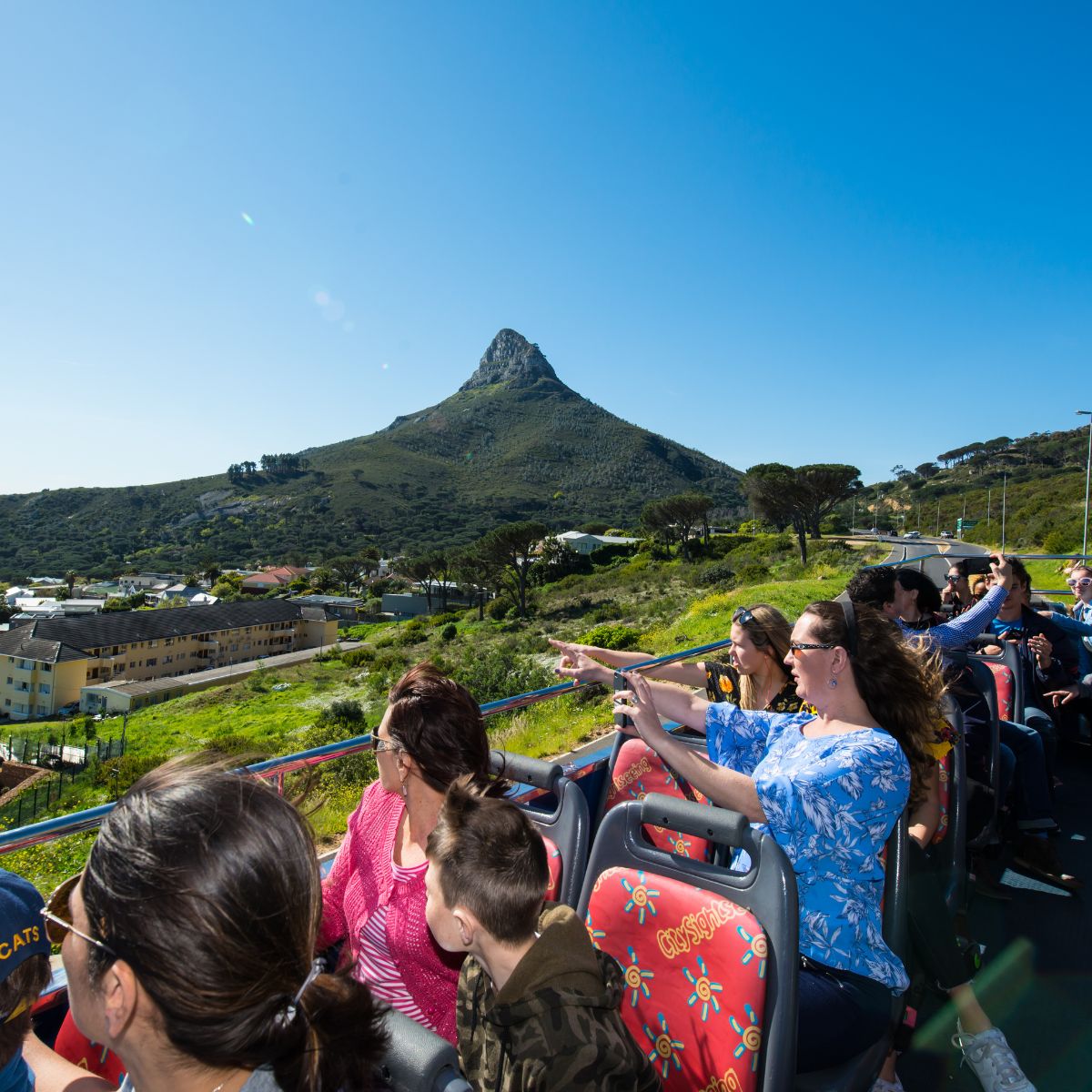 Winelands Luxury Experience