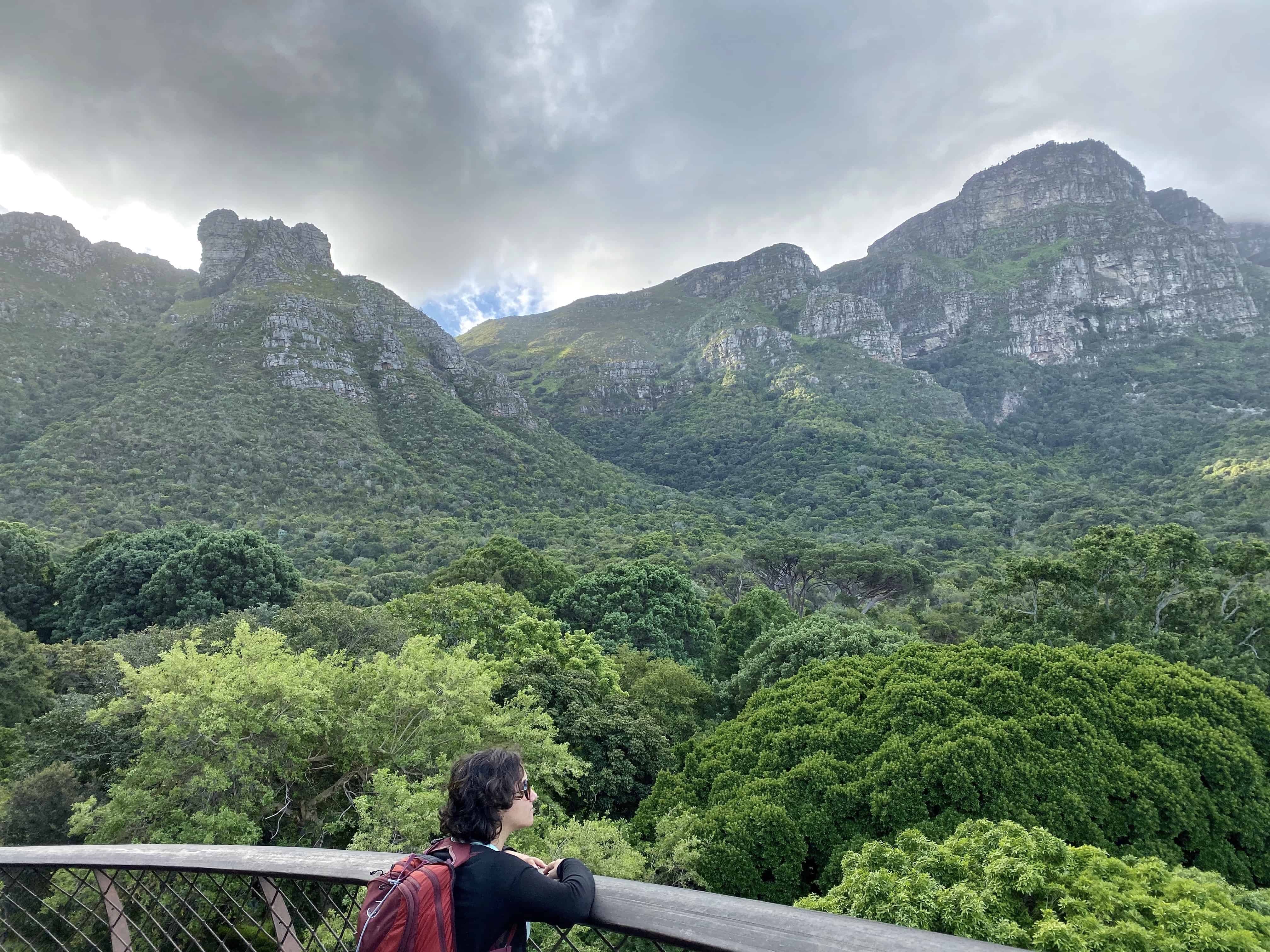 Table Mountain