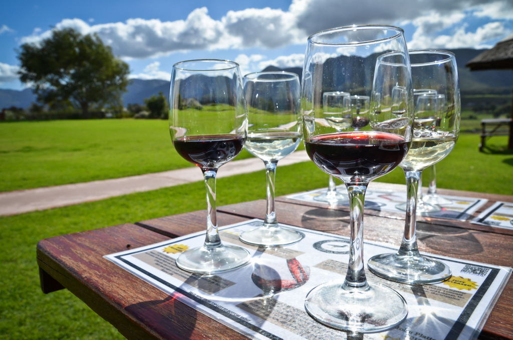 Winelands Tour